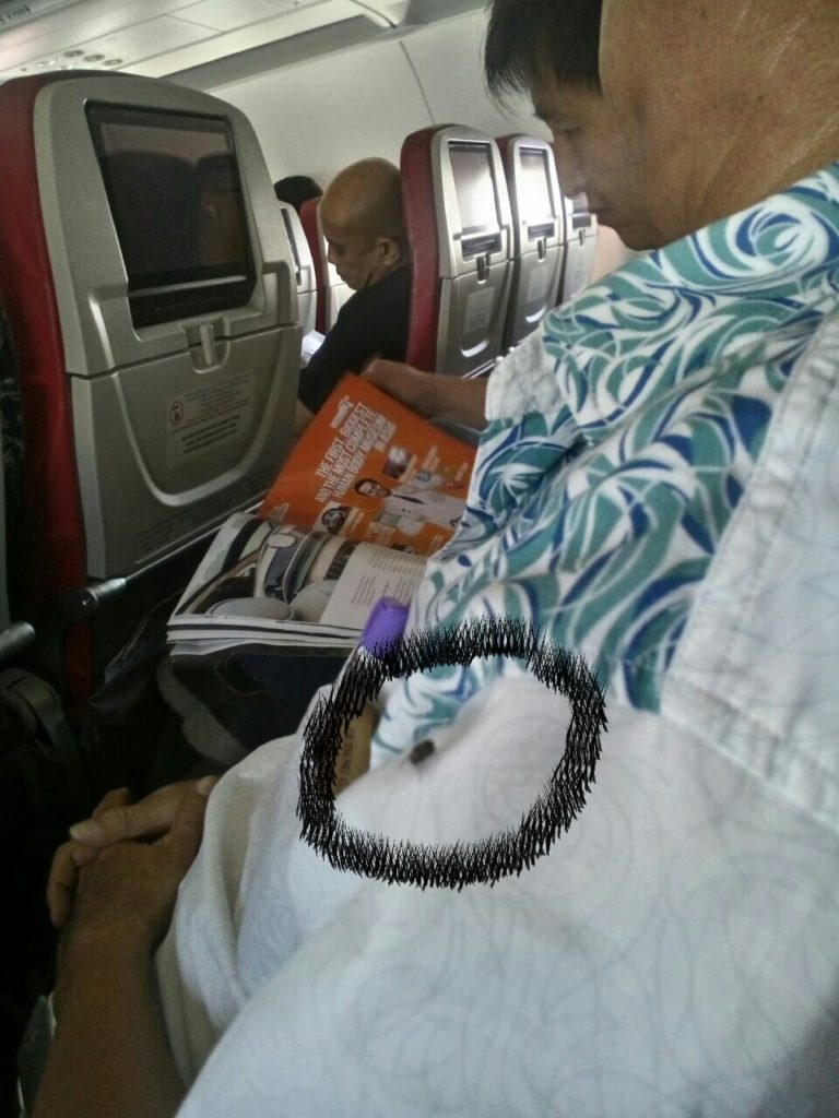 Lalat Berterbangan di  “CABIN Pesawat ” BATIK AIR “