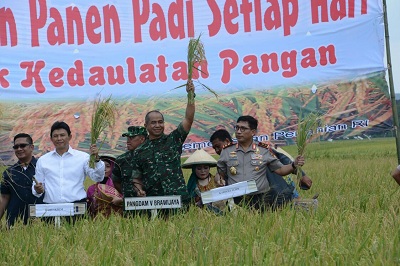 Pangdam V/Brawijaya Hadiri Panen Raya di Bojonegoro