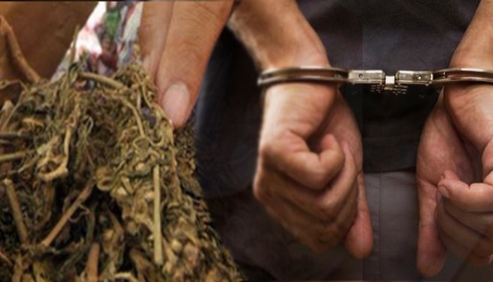 BNNP Jatim Gagalkan Pengiriman Ganja Kering Jaringan Lintas Provinsi
