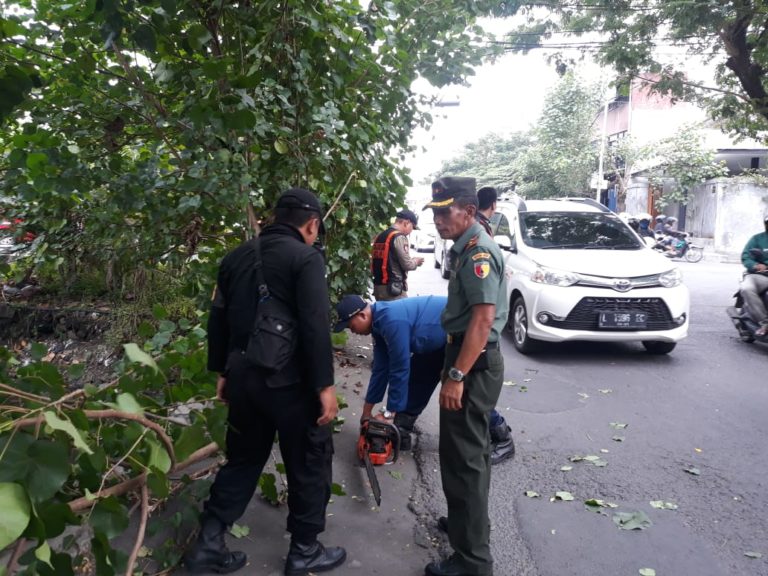 Danramil Sukolilo Ikut Singkirkan Pohon Tumbang