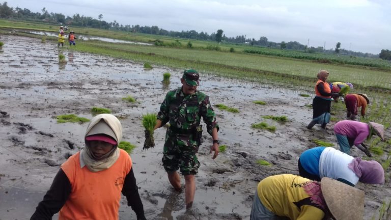 Sosok Babinsa koramil Panji Siap Bekerja Demi Rakyat
