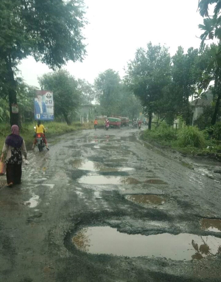 Warga Prambon Mengeluh Jalan Rusak Parah, Pemkab Sidoarjo Tutup Mata.