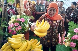 Tiap Tahun Lahan Pertanian Berkurang 2900 Hektare