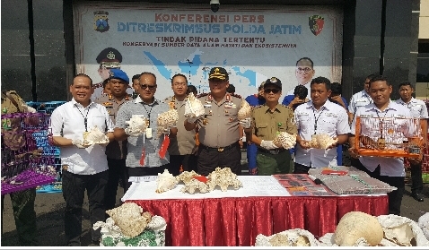 Ancaman Lima Tahun Penjara Untuk Penjual Satwa yang Dilindungi
