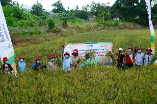 Petrokimia Gresik Tingkatkan Panen Padi Program “SERASI”