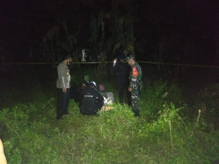 Ditemukan Bom Granat Jenis Nanas di Desa Mulyorejo Grobokan Mojowarno, Jombang