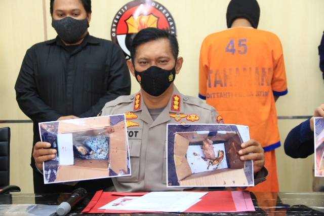Penjual Satwa Dilindungi Lewat Medsos Dibekuk Polda Jatim