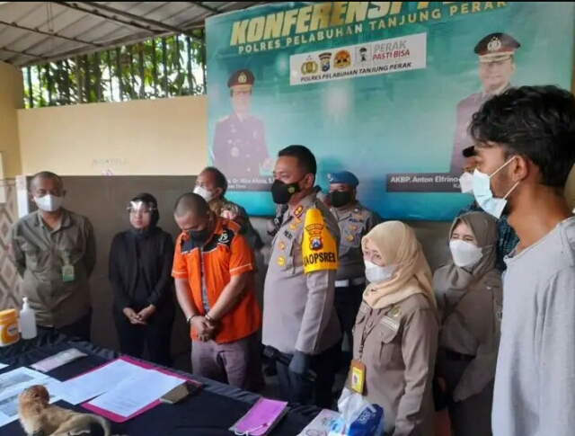 Pengangkutan Hewan/Satwa Dilindungi dari Kalimantan ke Surabaya diamankan Petugas Gabungan