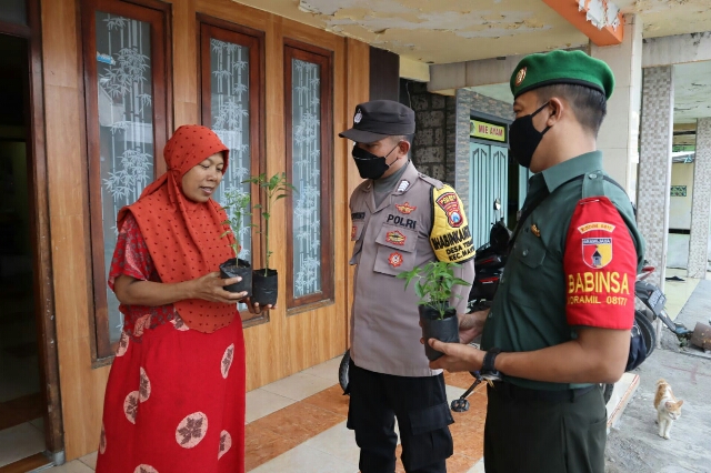Polisi di Gresik Berikan Bantuan Bibit Cabai untuk Warga, Saat Harga Cabai Meroket