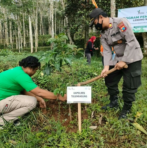 Forkopimda Tulungagung Tanam 25 Ribu Pohon, Dalam Peringati Hari Lingkungan Hidup