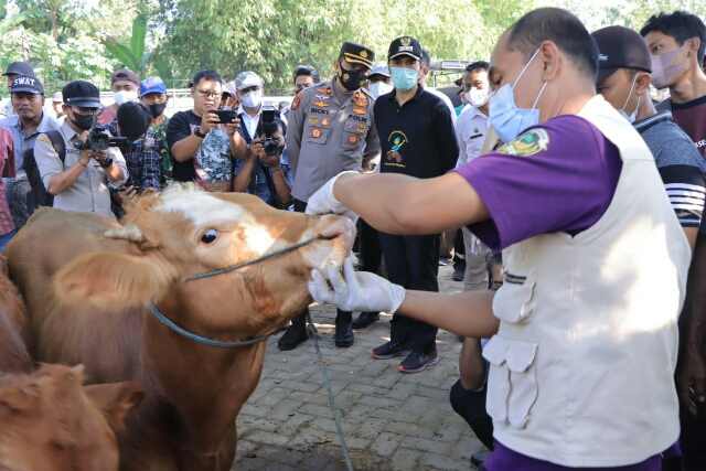 Polres Madiun Lakukan Pengawasan Hewan Ternak, Saat Menjelang Hari Raya Idul Adha