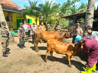 TNI Polri Optimalkan Peran Bhabinkamtibmas dan Babinsa dalam Mencegah Penyegaran Virus PMK di Jember