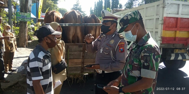 Pemkab Bersama Polres Bondowoso Cegah PMK, Melakukan Pemeriksaan Hewan Ternak