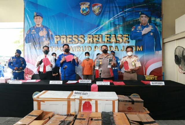 Ditpolairud Polda Jatim Ringkus Sindikat Penyelundupan Benih Lobster Luar Negeri