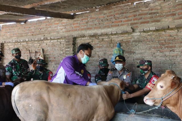 Dandim 0816/ Sidoarjo dan Dinas PPL Lakukan Vaksinasi Untuk Hewan Ternak