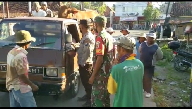Polres Pamekasan Periksa Pengangkut Hewan Ternak di Perbatasan