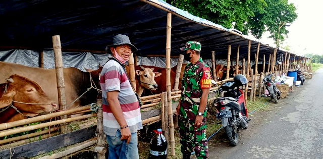 Babinsa Koramil 0816/06 Tanggulangin Komsos dan Warga Cegah Wabah PMK
