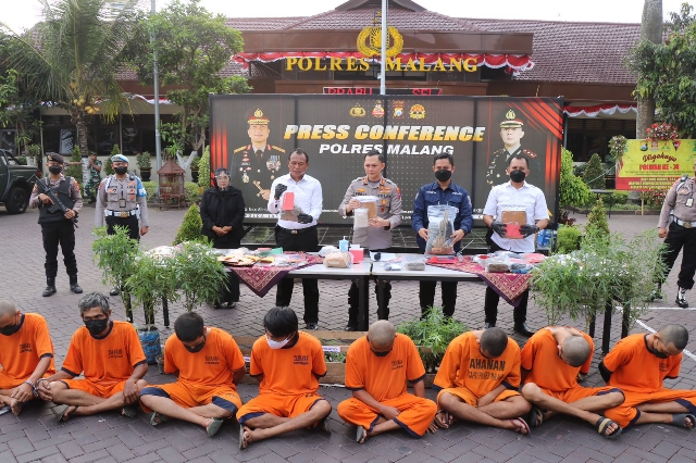 Kebun Ganja Seluas 1 Hektare di Lereng Semeru, berhasil Diungkap Polres Malang