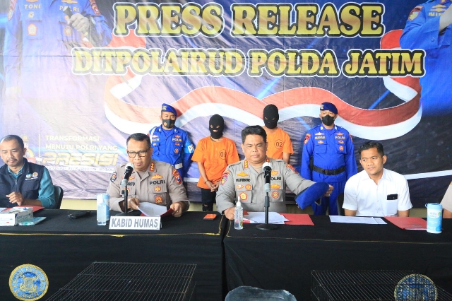 2 Pelaku Sindikat Penjualan Satwa Dilindungi, berhasil Diamankan Ditpolairud Polda Jatim