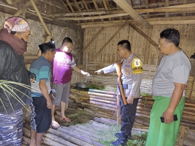 Keberhasilan dalam Menggagalkan Pencurian Sapi di Jember tak Luput dari Sinergitas Polisi bersama Warga