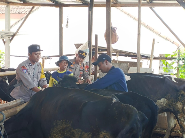 Polres Ponorogo Bantu Kelancaran Vaksinasi Ternak dalam Mencegah PMK
