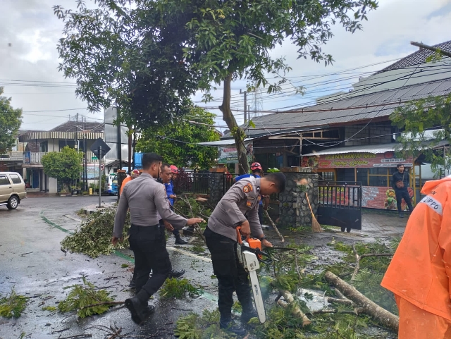 Polisi Tangani Pohon Tumbang di Jagalan, Lalulintas Trenggalek – Ponorogo Kembali Normal