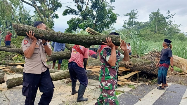 Tangani Pohon Tumbang, Lalulintas Kembali Normal bukti Respon Cepat Polisi bersama TNI dan BPBD