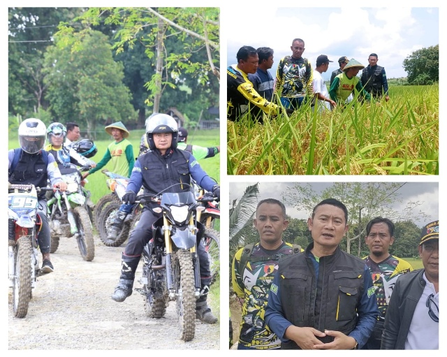 Bupati Yes – Dandim 0812 Ngetrail Bareng, Jelajah Sawah Tinjau Ketahanan Pangan Jelang Panen Raya