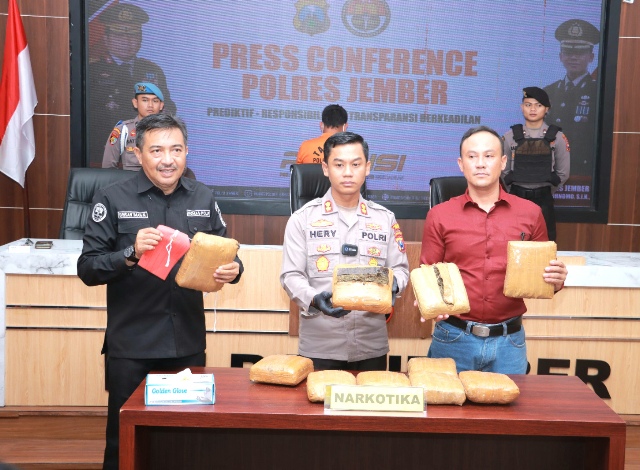 Pengedar Ganja Jaringan Medan- Bali Dibekuk Polres Jember