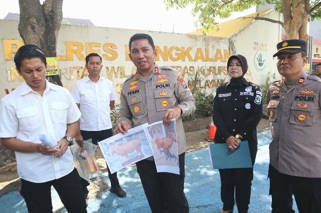 Polres Bangkalan Tangkap Pencuri Sapi di NTB