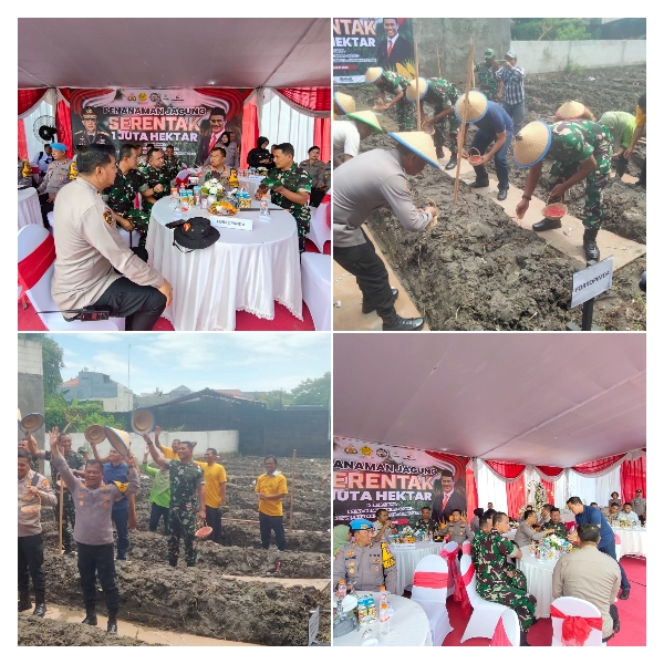 Dukung Program Pemerintah, Dandim Surabaya Utara Hadiri Penanaman Jagung Serentak