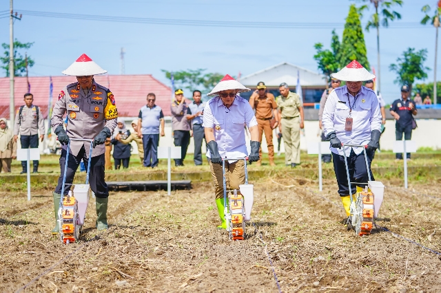 Pemprov Bersama Polda Jatim Tanam Jagung Serentak di Lingkungan Polres Blitar