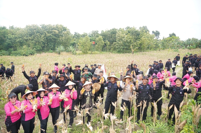 Sat Brimob Polda Jateng Panen Raya di Sragen, Dukung Ketahanan Pangan Nasional