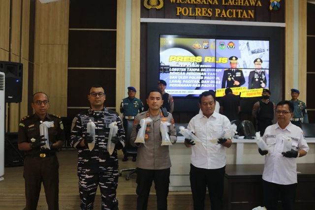 2 Tersangka Diamankan, Polres Pacitan berhasil Mengungkap Penyelundupan 27.650 Benur Ilegal