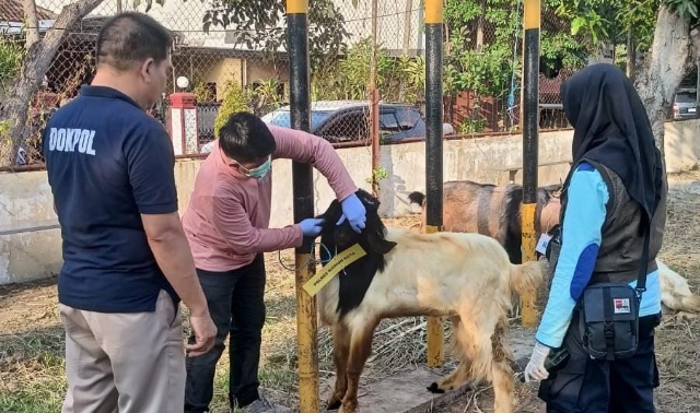 Polres Madiun Kota Datangkan Dokter Hewan Pastikan Kesehatan Hewan Kurban