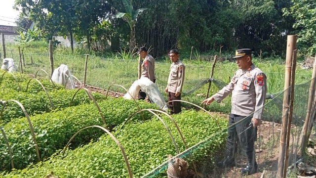 Polres Nganjuk Dukung Ketahanan Pangan Lewat Pemanfaatan Lahan Pekarangan di Desa Sonopatik