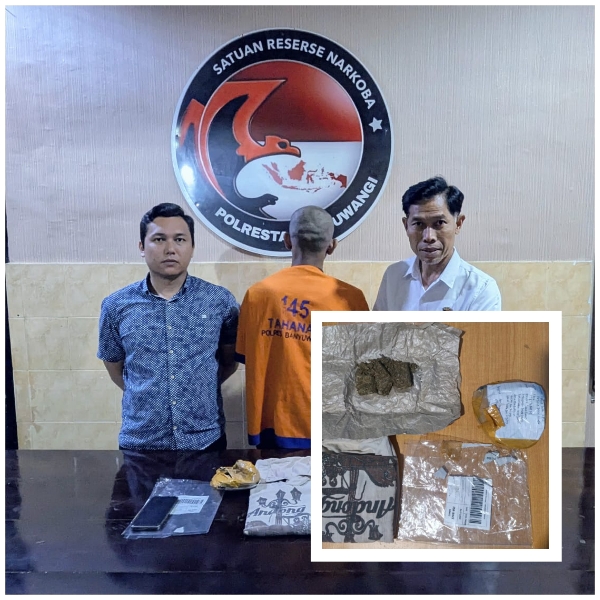 Satu tersangka Pengedar Ganja Diamankan Anggota Satresnarkoba Polresta Banyuwangi