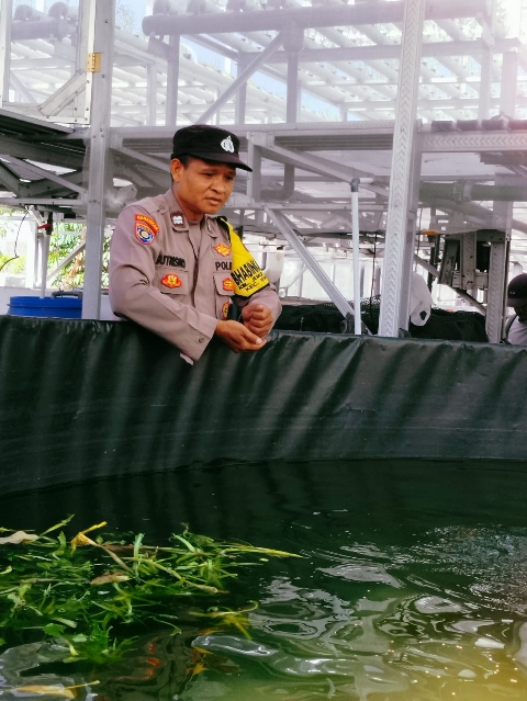 Bhabinkamtibmas Jemur Wonosari Dampingi Kelompok Tani Kembangkan 1.400 Ikan Nila dengan Teknologi Modern