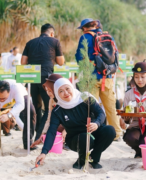 Khofifah: Jatim Pimpin Pelestarian Mangrove untuk Indonesia Mendunia