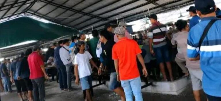 Warga Resah, Aktivitas Sabung Ayam Diduga Rutin Berlangsung di Perbatasan Klurak–Kalipecabean Diduga Ada Sabung Ayam di Kawasan Candi Sidoarjo